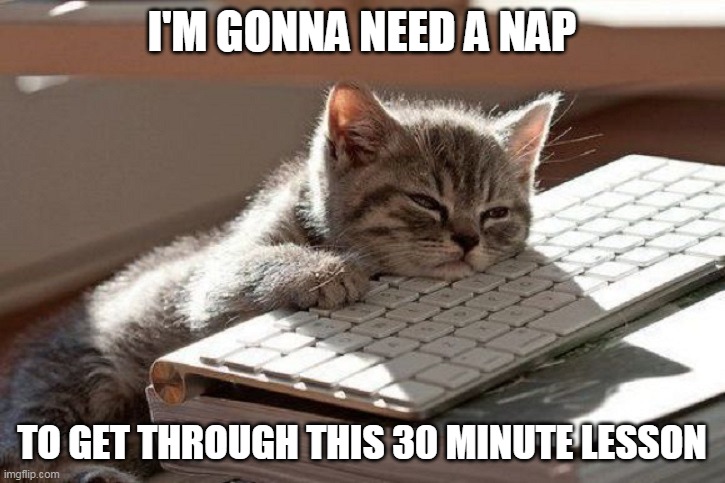 cat nap | I'M GONNA NEED A NAP; TO GET THROUGH THIS 30 MINUTE LESSON | image tagged in too tired | made w/ Imgflip meme maker