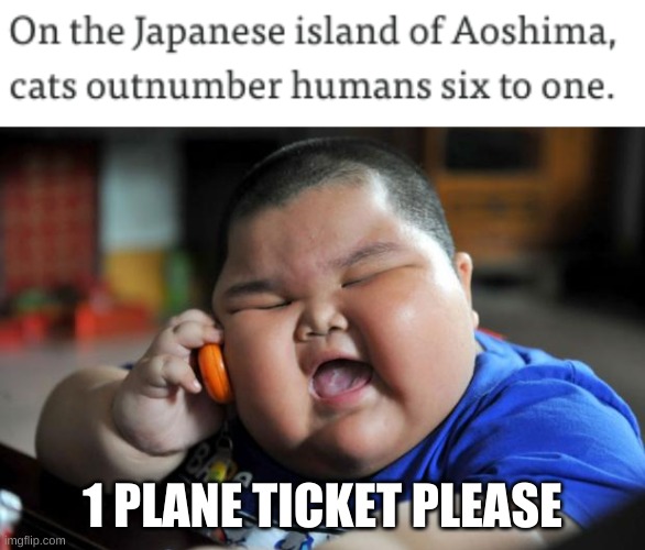 1 PLANE TICKET PLEASE | image tagged in fat asian kid | made w/ Imgflip meme maker