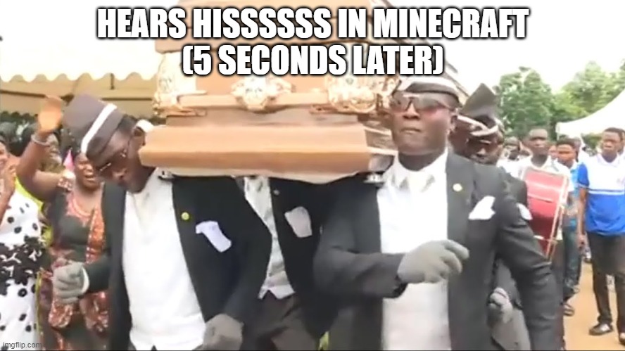 Coffin Dance | HEARS HISSSSSS IN MINECRAFT
(5 SECONDS LATER) | image tagged in coffin dance | made w/ Imgflip meme maker