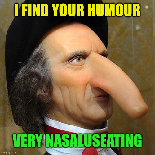 funny nose | I FIND YOUR HUMOUR VERY NASALUSEATING | image tagged in funny nose | made w/ Imgflip meme maker