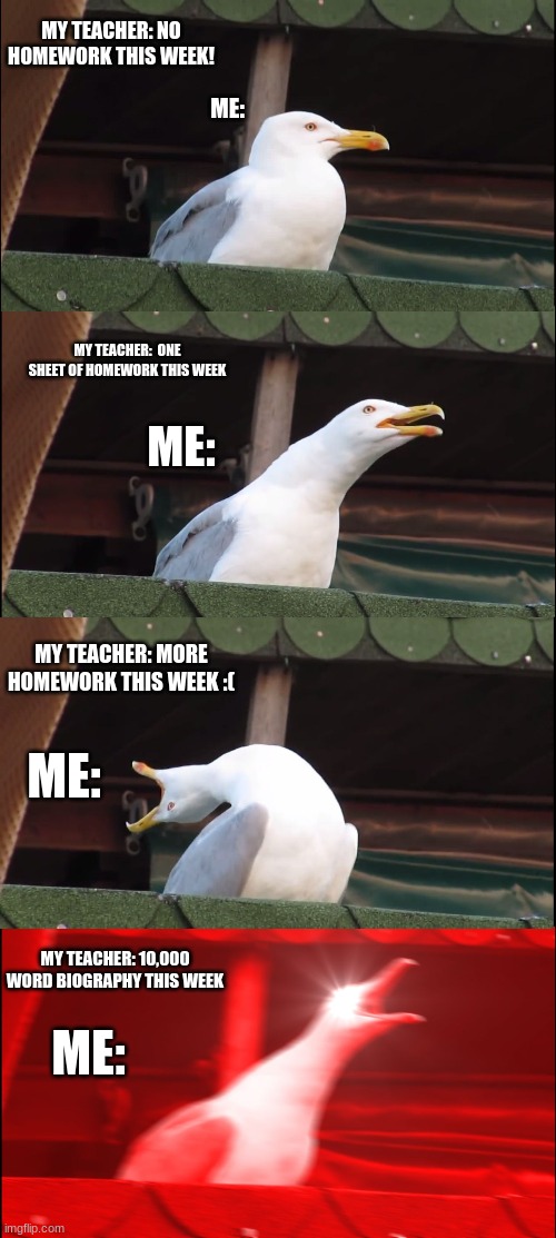 NO HOMEWORK | MY TEACHER: NO HOMEWORK THIS WEEK! ME:; MY TEACHER:  ONE SHEET OF HOMEWORK THIS WEEK; ME:; MY TEACHER: MORE HOMEWORK THIS WEEK :(; ME:; MY TEACHER: 10,000 WORD BIOGRAPHY THIS WEEK; ME: | image tagged in memes,inhaling seagull | made w/ Imgflip meme maker