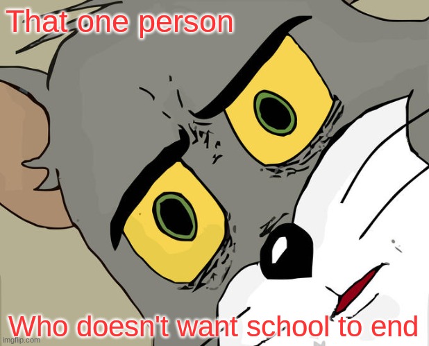 Unsettled Tom | That one person; Who doesn't want school to end | image tagged in memes,unsettled tom | made w/ Imgflip meme maker