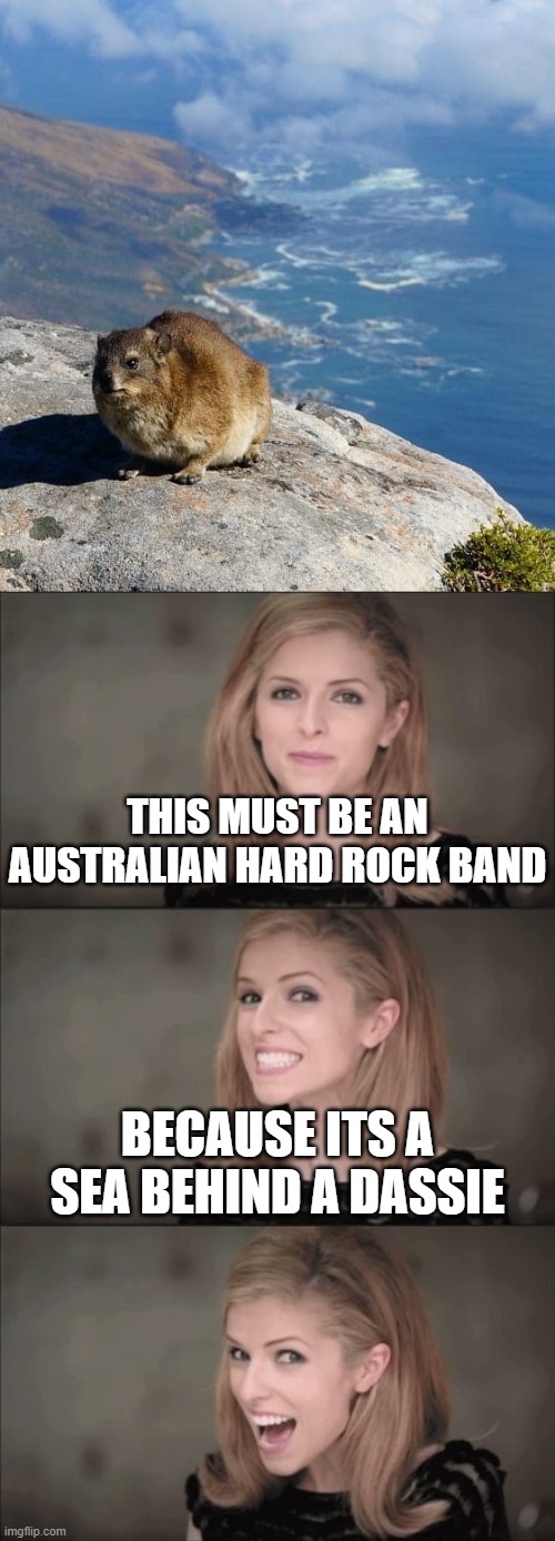 Bad Pun Anna Kendrick | THIS MUST BE AN AUSTRALIAN HARD ROCK BAND; BECAUSE ITS A SEA BEHIND A DASSIE | image tagged in memes,bad pun anna kendrick,puns,hyrax,animals,acdc | made w/ Imgflip meme maker