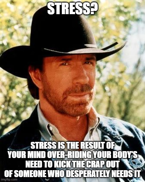 Chuck Norris Meme | STRESS? STRESS IS THE RESULT OF YOUR MIND OVER-RIDING YOUR BODY'S NEED TO KICK THE CRAP OUT OF SOMEONE WHO DESPERATELY NEEDS IT | image tagged in memes,chuck norris | made w/ Imgflip meme maker