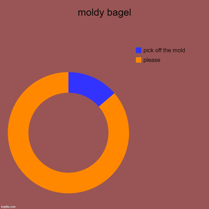 your mum | moldy bagel | please, pick off the mold | image tagged in charts,donut charts | made w/ Imgflip chart maker