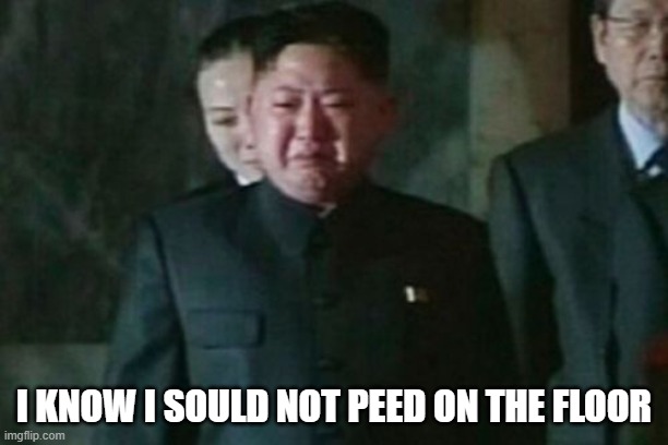 pee | I KNOW I SOULD NOT PEED ON THE FLOOR | image tagged in memes,kim jong un sad | made w/ Imgflip meme maker