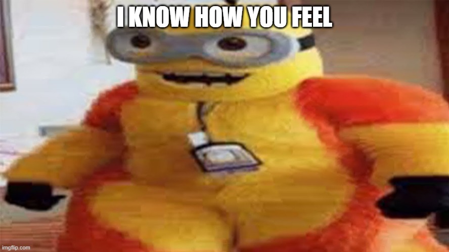 Minion Furry | I KNOW HOW YOU FEEL | image tagged in minion furry | made w/ Imgflip meme maker