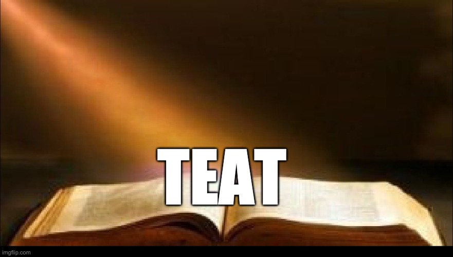Holy Bible | TEAT | image tagged in holy bible | made w/ Imgflip meme maker