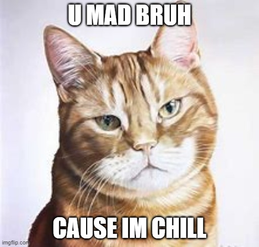 funny cat meme | U MAD BRUH; CAUSE IM CHILL | image tagged in funny,funny meme | made w/ Imgflip meme maker
