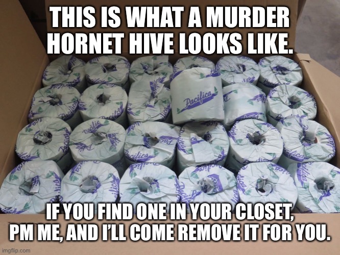 Murder hornet hive | THIS IS WHAT A MURDER HORNET HIVE LOOKS LIKE. IF YOU FIND ONE IN YOUR CLOSET, PM ME, AND I’LL COME REMOVE IT FOR YOU. | image tagged in toilet paper,murder hornet | made w/ Imgflip meme maker