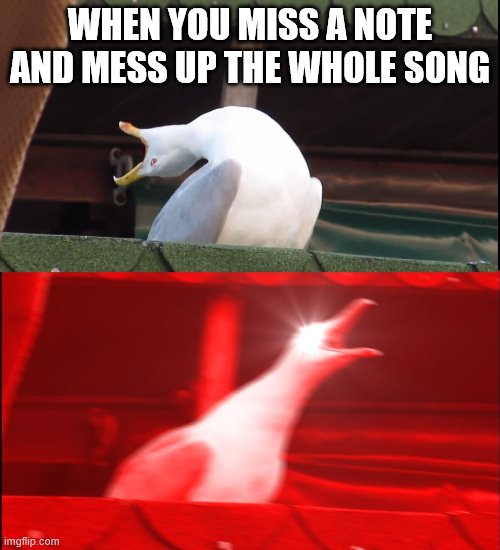 Screaming bird | WHEN YOU MISS A NOTE AND MESS UP THE WHOLE SONG | image tagged in screaming bird | made w/ Imgflip meme maker