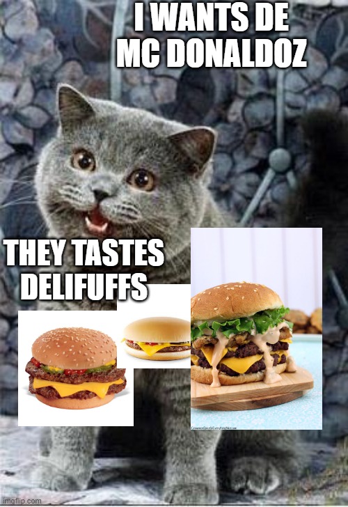 I can has cheezburger cat | I WANTS DE MC DONALDOZ; THEY TASTES DELIFUFFS | image tagged in i can has cheezburger cat | made w/ Imgflip meme maker