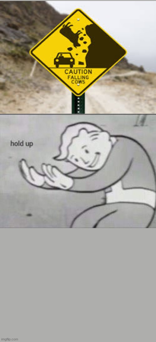 funny | image tagged in fallout hold up | made w/ Imgflip meme maker