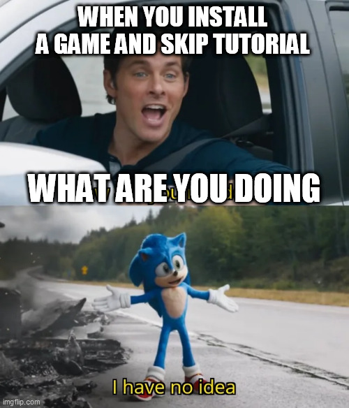 So true | WHEN YOU INSTALL A GAME AND SKIP TUTORIAL; WHAT ARE YOU DOING | image tagged in sonic i have no idea | made w/ Imgflip meme maker