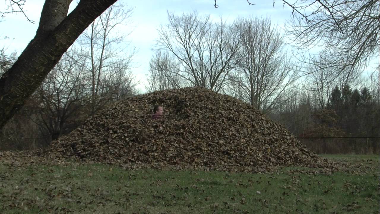 High Quality Pile Of Leaves Blank Meme Template