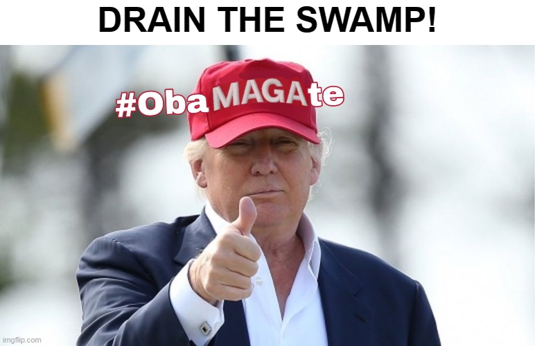 The Time Is Now! | DRAIN THE SWAMP! | image tagged in memes,donald trump,drain the swamp,maga,obamagate,obama,ConservativeMemes | made w/ Imgflip meme maker
