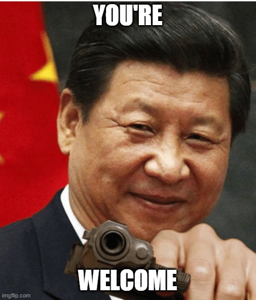 Xi Jinping | YOU'RE WELCOME | image tagged in xi jinping | made w/ Imgflip meme maker