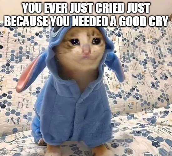 don't worry i'm hear for you | YOU EVER JUST CRIED JUST BECAUSE YOU NEEDED A GOOD CRY | image tagged in crying cat | made w/ Imgflip meme maker