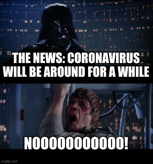 Why are we here? Just to suffer? | THE NEWS: CORONAVIRUS WILL BE AROUND FOR A WHILE; NOOOOOOOOOOO! | image tagged in memes,star wars no | made w/ Imgflip meme maker