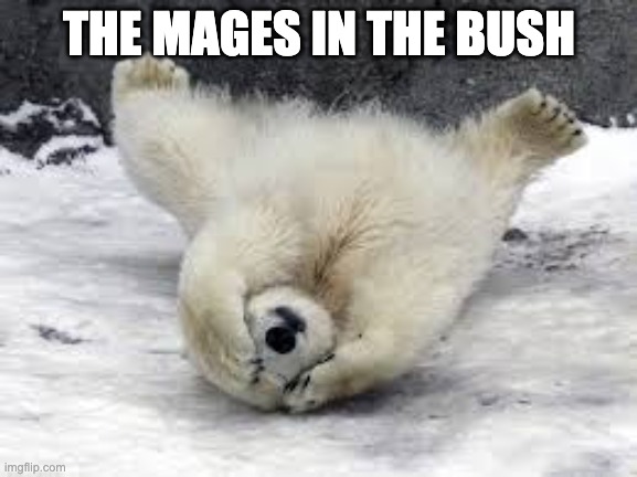 You can't see me! | THE MAGES IN THE BUSH | image tagged in you can't see me | made w/ Imgflip meme maker
