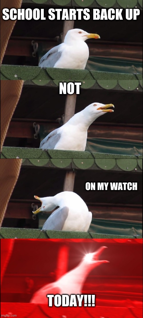 Inhaling Seagull | SCHOOL STARTS BACK UP; NOT; ON MY WATCH; TODAY!!! | image tagged in memes,inhaling seagull | made w/ Imgflip meme maker