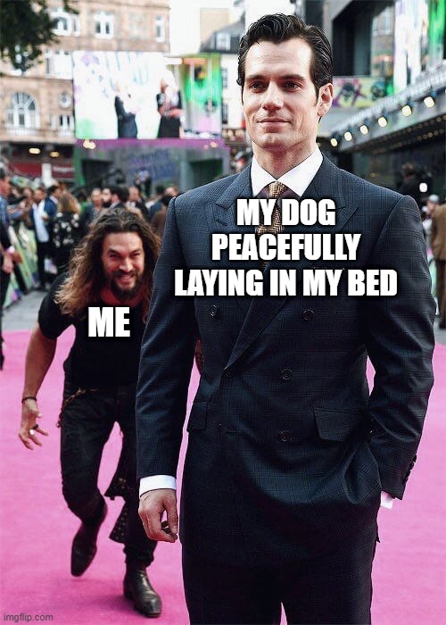 They're just so soft and huggable | ME; MY DOG PEACEFULLY LAYING IN MY BED | image tagged in aquaman sneaking up on superman | made w/ Imgflip meme maker