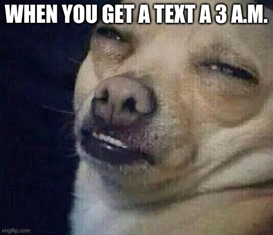 Too Dank |  WHEN YOU GET A TEXT A 3 A.M. | image tagged in too dank | made w/ Imgflip meme maker