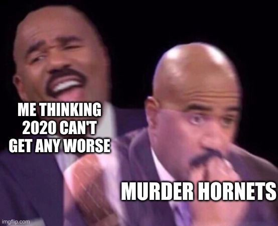 Steve Harvey Laughing Serious | ME THINKING 2020 CAN'T GET ANY WORSE; MURDER HORNETS | image tagged in steve harvey laughing serious | made w/ Imgflip meme maker