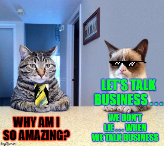 Take a seat cat and grumpy cat review | LET'S TALK BUSINESS . . . WHY AM I SO AMAZING? WE DON'T LIE . . . WHEN WE TALK BUSINESS | image tagged in take a seat cat and grumpy cat review | made w/ Imgflip meme maker