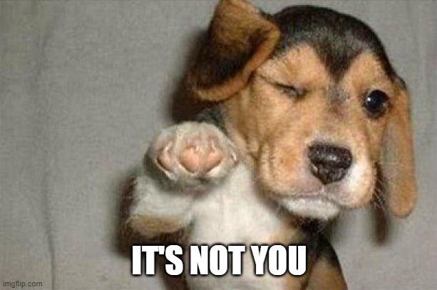 Awesome Dog | IT'S NOT YOU | image tagged in awesome dog | made w/ Imgflip meme maker