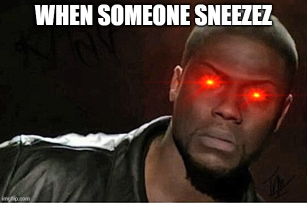 Kevin Hart | WHEN SOMEONE SNEEZEZ | image tagged in memes,kevin hart | made w/ Imgflip meme maker