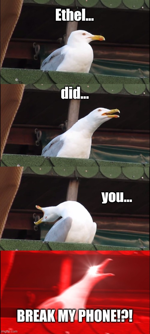Inhaling Seagull | Ethel... did... you... BREAK MY PHONE!?! | image tagged in memes,inhaling seagull | made w/ Imgflip meme maker