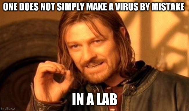 One Does Not Simply | ONE DOES NOT SIMPLY MAKE A VIRUS BY MISTAKE; IN A LAB | image tagged in memes,one does not simply | made w/ Imgflip meme maker