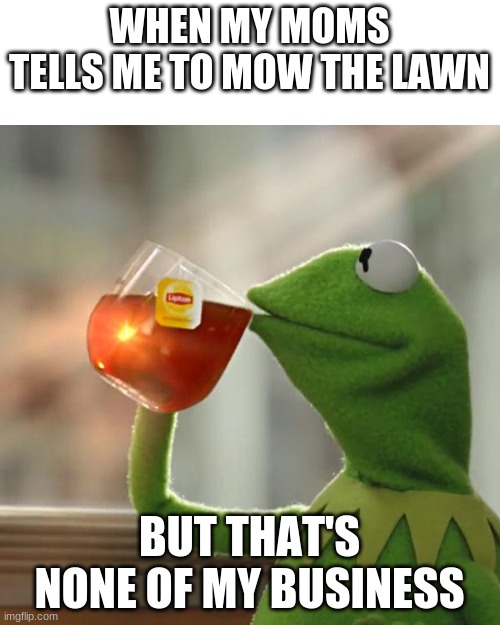 the lawn.... | WHEN MY MOMS TELLS ME TO MOW THE LAWN; BUT THAT'S NONE OF MY BUSINESS | image tagged in memes,but that's none of my business,kermit the frog | made w/ Imgflip meme maker