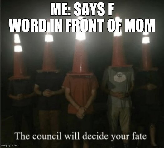 The council will decide your fate | ME: SAYS F WORD IN FRONT OF MOM | image tagged in the council will decide your fate | made w/ Imgflip meme maker