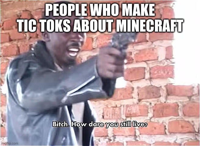 Bitch. How dare you still live | PEOPLE WHO MAKE TIC TOKS ABOUT MINECRAFT | image tagged in bitch how dare you still live | made w/ Imgflip meme maker