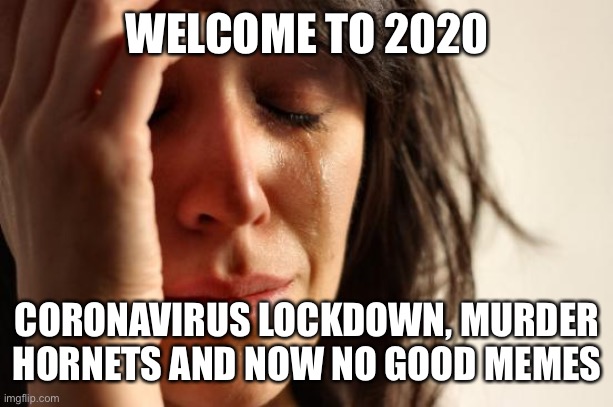 First World Problems Meme | WELCOME TO 2020 CORONAVIRUS LOCKDOWN, MURDER HORNETS AND NOW NO GOOD MEMES | image tagged in memes,first world problems | made w/ Imgflip meme maker