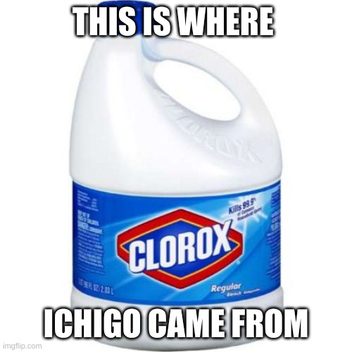 bleach | THIS IS WHERE; ICHIGO CAME FROM | image tagged in bleach | made w/ Imgflip meme maker