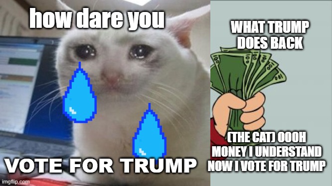 Why people vote for Trump and now understand it wasn't worth it | how dare you; WHAT TRUMP DOES BACK; (THE CAT) OOOH MONEY I UNDERSTAND NOW I VOTE FOR TRUMP; VOTE FOR TRUMP | image tagged in president trump,crying cat,bribes,funny memes,shut up and take my money fry | made w/ Imgflip meme maker