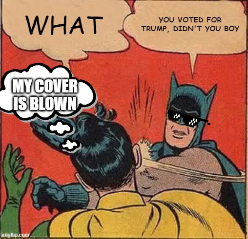 The average suckers | WHAT; YOU VOTED FOR TRUMP, DIDN'T YOU BOY; MY COVER IS BLOWN | image tagged in memes,batman slapping robin | made w/ Imgflip meme maker