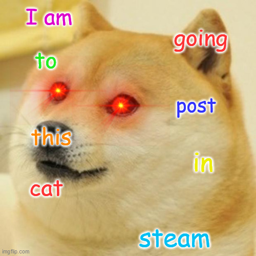 doge (visible confusion) | I am; going; to; post; this; in; cat; steam | image tagged in memes,cats | made w/ Imgflip meme maker