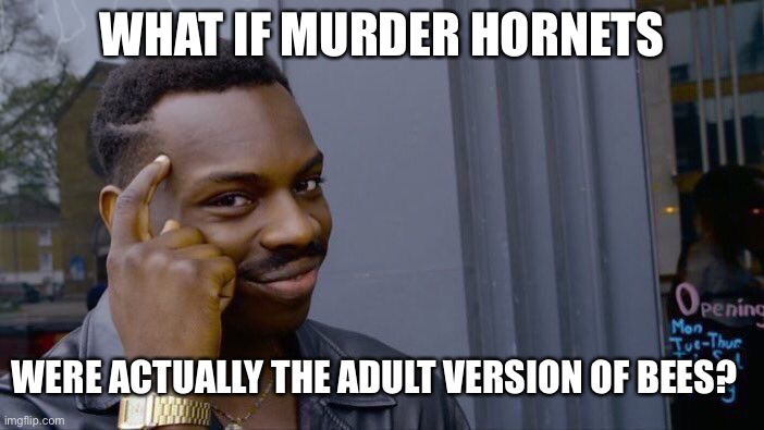 Roll Safe Think About It | WHAT IF MURDER HORNETS; WERE ACTUALLY THE ADULT VERSION OF BEES? | image tagged in memes,roll safe think about it,murder hornets,bees | made w/ Imgflip meme maker