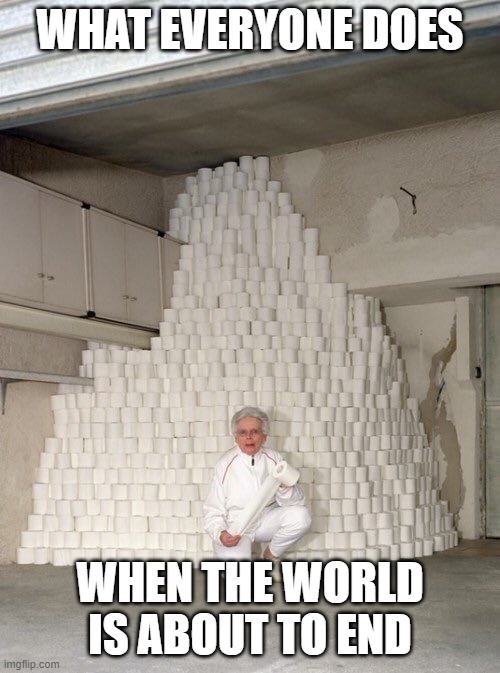 Gotta Stock Up | WHAT EVERYONE DOES; WHEN THE WORLD IS ABOUT TO END | image tagged in mountain of toilet paper,coronavirus,toilet paper,end of the world | made w/ Imgflip meme maker
