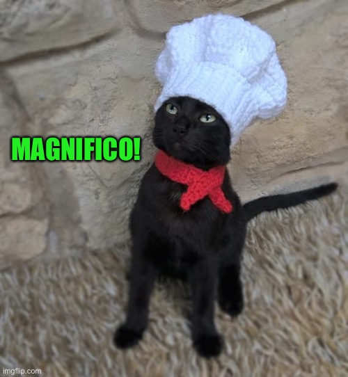 MAGNIFICO! | made w/ Imgflip meme maker