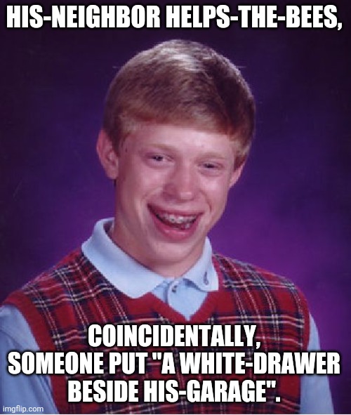 Bad Luck Brian. Bees. Save The Bees. | HIS-NEIGHBOR HELPS-THE-BEES, COINCIDENTALLY, SOMEONE PUT "A WHITE-DRAWER BESIDE HIS-GARAGE". | image tagged in memes,bad luck brian | made w/ Imgflip meme maker