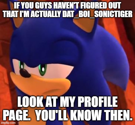 Hopefully you all know.... | IF YOU GUYS HAVEN'T FIGURED OUT THAT I'M ACTUALLY DAT_BOI_SONICTIGER; LOOK AT MY PROFILE PAGE.  YOU'LL KNOW THEN. | image tagged in disappointed sonic,imgflip | made w/ Imgflip meme maker