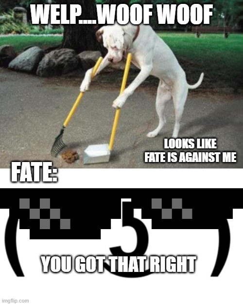 Fate..how could you? | WELP....WOOF WOOF; LOOKS LIKE FATE IS AGAINST ME; FATE:; YOU GOT THAT RIGHT | image tagged in dog poop | made w/ Imgflip meme maker