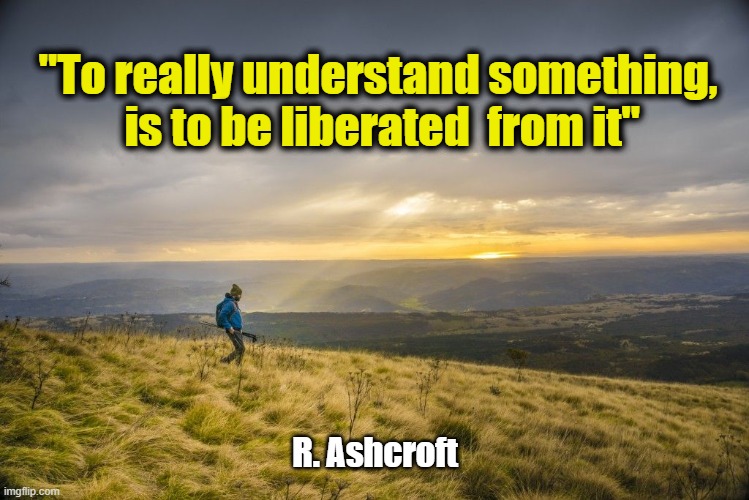 Liberation | "To really understand something,  is to be liberated  from it"; R. Ashcroft | image tagged in learn,read,study,free | made w/ Imgflip meme maker
