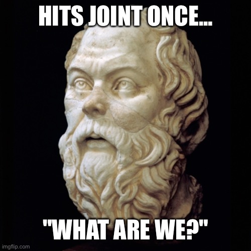Plato Smokes Weed | HITS JOINT ONCE... "WHAT ARE WE?" | image tagged in plato,smokes,weed,pot,cannabis,philosophy | made w/ Imgflip meme maker