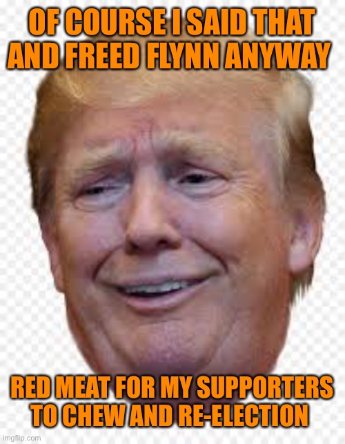 OF COURSE I SAID THAT AND FREED FLYNN ANYWAY RED MEAT FOR MY SUPPORTERS TO CHEW AND RE-ELECTION | made w/ Imgflip meme maker